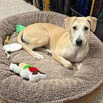 Thumbnail photo of Katie #2