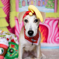 Thumbnail photo of Katie #3