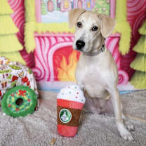 Thumbnail photo of Katie #4