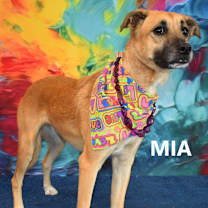 Thumbnail photo of Mia #3
