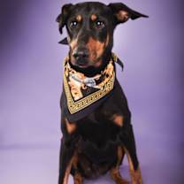 Thumbnail photo of Rice Krispie (Terrell) #2