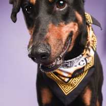 Thumbnail photo of Rice Krispie (Terrell) #3