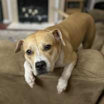 Thumbnail photo of Astrid #2