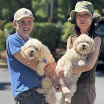 Thumbnail photo of Ivy #2