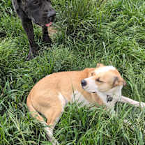 Thumbnail photo of Mabel #2