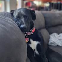 Thumbnail photo of Holly #2