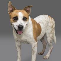 Thumbnail photo of BERNIE #3