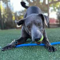 Thumbnail photo of Natalia #2