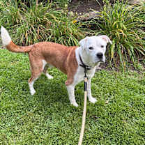 Thumbnail photo of BEAR #2