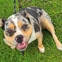 Thumbnail photo of Lucy #1