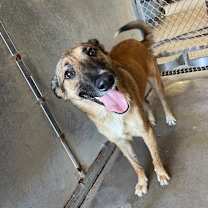 Thumbnail photo of Dawn #3