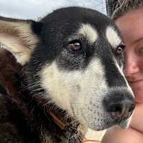 Thumbnail photo of Jojo #4