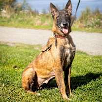 Thumbnail photo of Luna #1