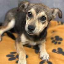 Thumbnail photo of Ethel #1