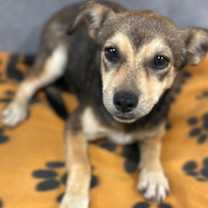 Thumbnail photo of Ethel #2