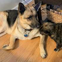 Thumbnail photo of MOLLY #2