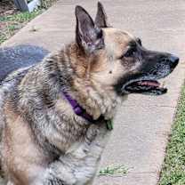 Thumbnail photo of MOLLY #1