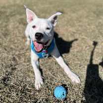 Thumbnail photo of Daisy XIX (New Digs) #1