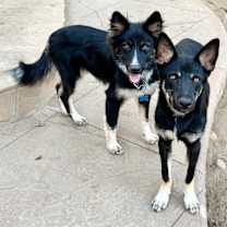 Thumbnail photo of Jaxson #4