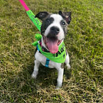 Thumbnail photo of Lilith  #2