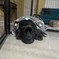 Thumbnail photo of Ellie #3