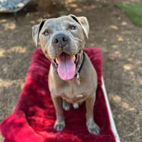 Thumbnail photo of Smith #1