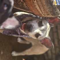 Thumbnail photo of Lando #3