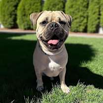 Thumbnail photo of Burger #2