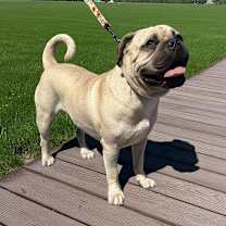 Thumbnail photo of Burger #3