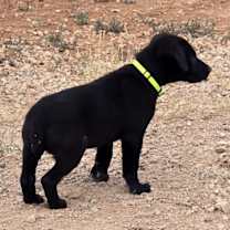 Thumbnail photo of Hex #4