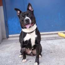 Thumbnail photo of Ernesto #1