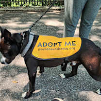 Thumbnail photo of Ernesto #3