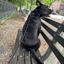 Thumbnail photo of Ernesto #4