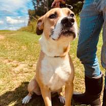 Thumbnail photo of Mystery #1