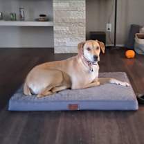 Thumbnail photo of Kia #2