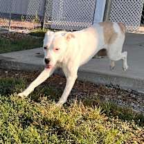 Thumbnail photo of Mariella #4