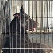 Thumbnail photo of Bruce #4