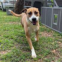 Thumbnail photo of Mystery #2