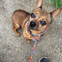 Thumbnail photo of Buster  #2