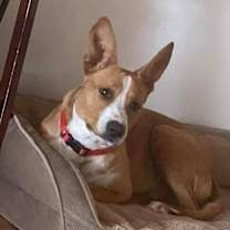 Thumbnail photo of Chance #2