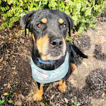 Thumbnail photo of Pepsi JuM #3