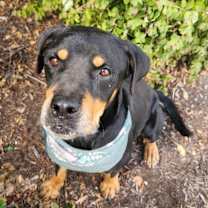 Thumbnail photo of Pepsi JuM #4