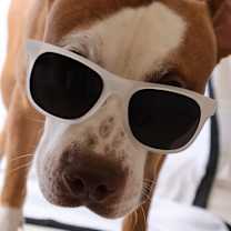 Thumbnail photo of Nemo #4