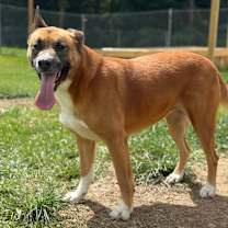 Thumbnail photo of Princess 7991 #3