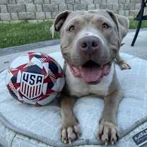 Thumbnail photo of Kaya #2