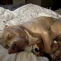 Thumbnail photo of Kaya #3