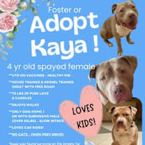 Thumbnail photo of Kaya #4