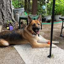 Thumbnail photo of Brew #2