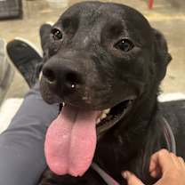 Thumbnail photo of Bubbles #3