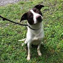 Thumbnail photo of Zephyr #4